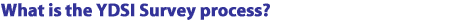 What is the YDSI Survey process?