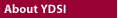 About YDSI