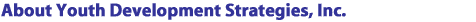 About Youth Development Strategies, Inc.