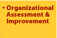 Organizational Assessment and Improvement