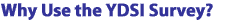 Why Use the YDSI Survey?